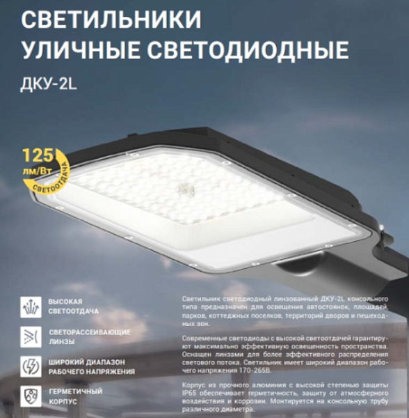 Светильник уличный линзованный светодиодный ДКУ-2L 50Вт 230В 5000К 6250Лм 125лм/Вт 42-48мм IP65 NEOX