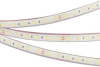 Светодиодная лента RTW 2-5000PGS 24V White 2x (5060, 300 LED, LUX) (Arlight, 14.4 Вт/м, IP67)