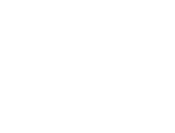 Профиль алюминиевый врезной СПВ-35-4732 (цена за 1 метр)