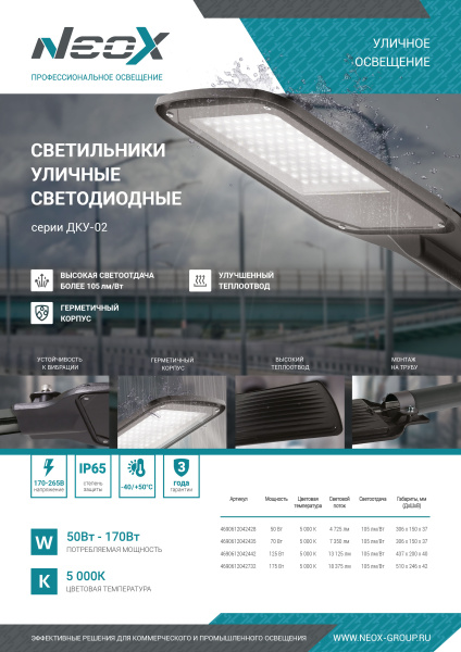 Светильник уличный светодиодный ДКУ-02 50Вт 230В 5000К 5250Лм 105Лм/Вт IP65 NEOX