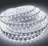 Светодиодная лента ЭРА 12V 9,6W/m 120led 6500K холодный белый IP20 8мм 5м LS2835